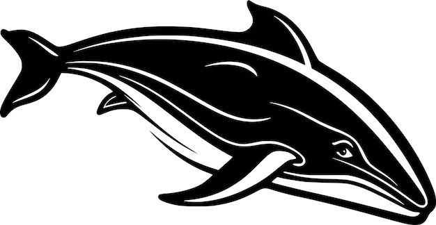 Vector whale black and white isolated icon vector illustration