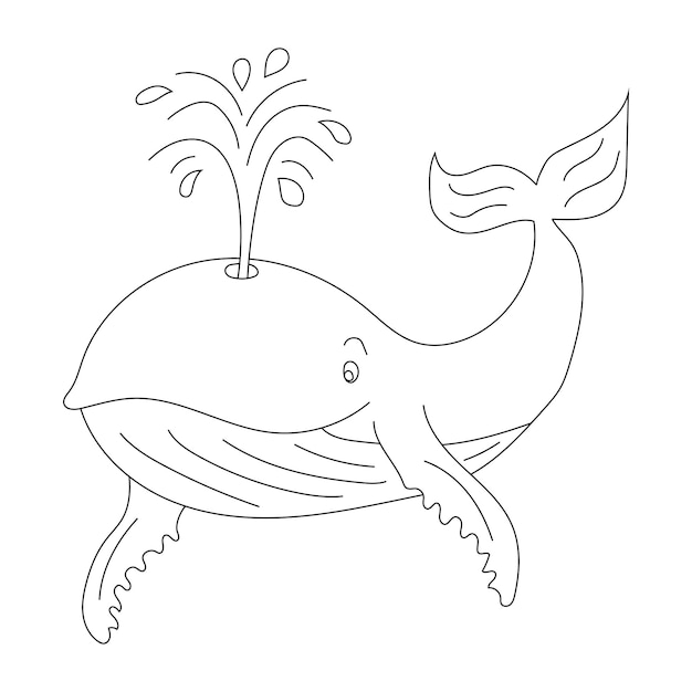 Whale Clipart Aquatic Animals and Sea Animals Clipart