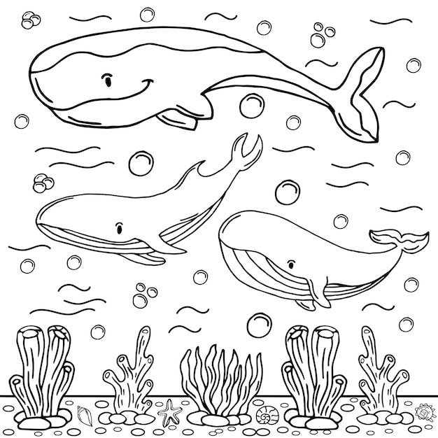 Whale Coloring Page Colored Illustration