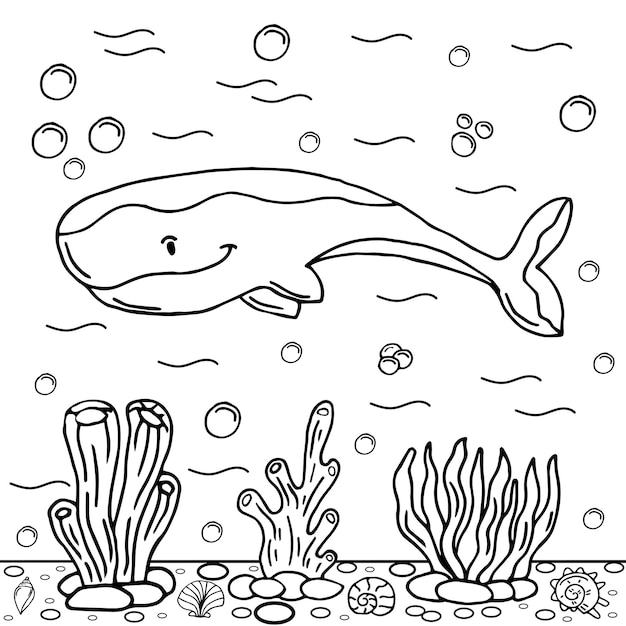 Whale coloring page colored illustration