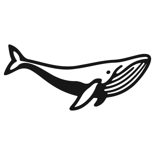 Vector whale_d