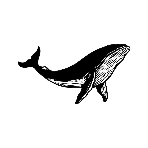 Whale fish silhouette vector hand drawn