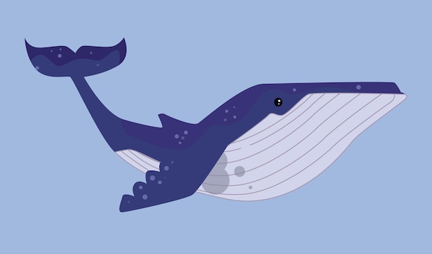 Whale Illustration