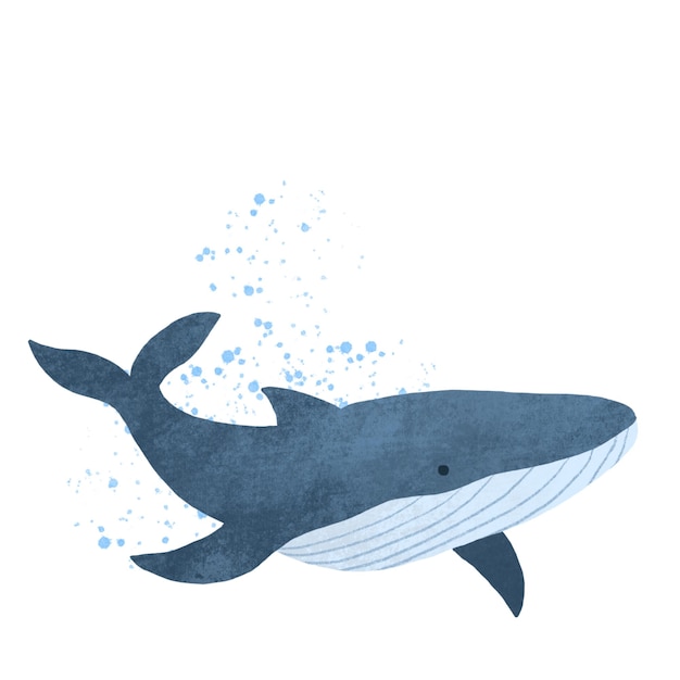 Vector whale illustration