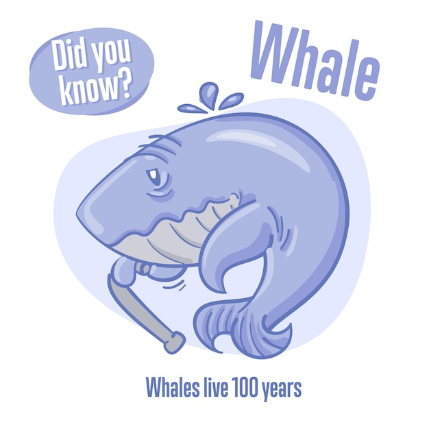 Whale Interesting facts about sea animals Did you know