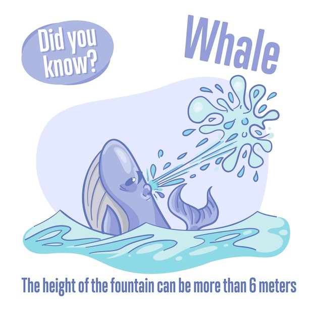 Vector whale interesting facts about sea animals did you know