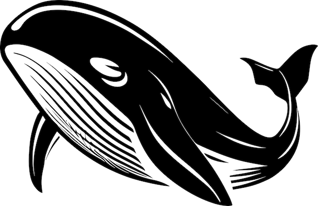 Vector whale logo monochrome minimalistic design