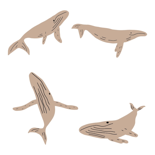白い背景にスカンジナビア スタイルのクジラ海洋動物シーライフ