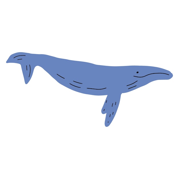 Whale ocean animal Sealife in Scandinavian style on a white background