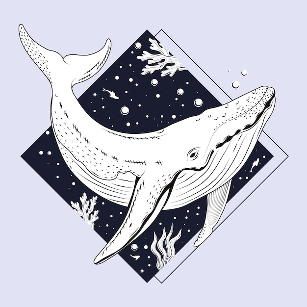 Vector whale sealife in frame