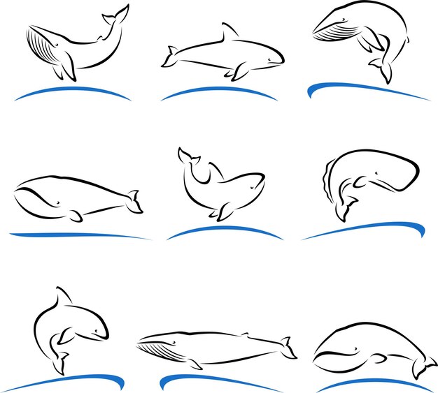 Whale set vector