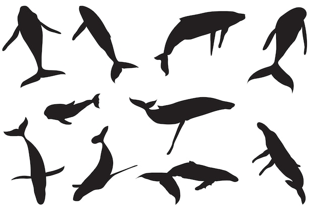 Vector whale silhouette vector file for download