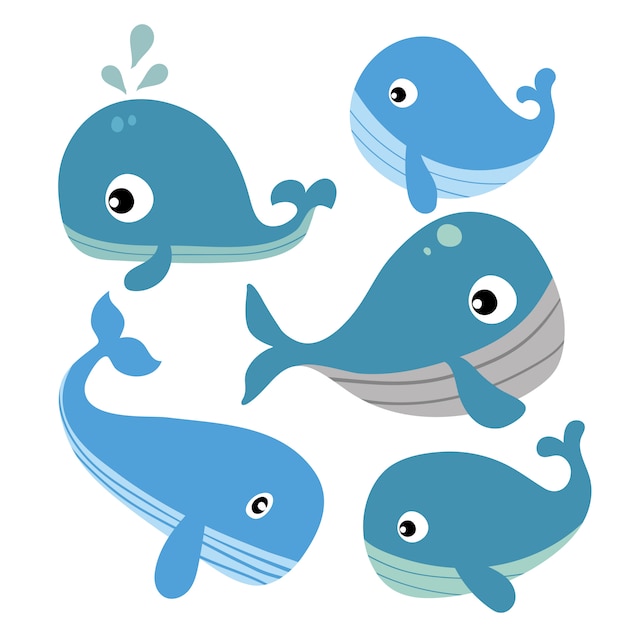 Whale vector collection design