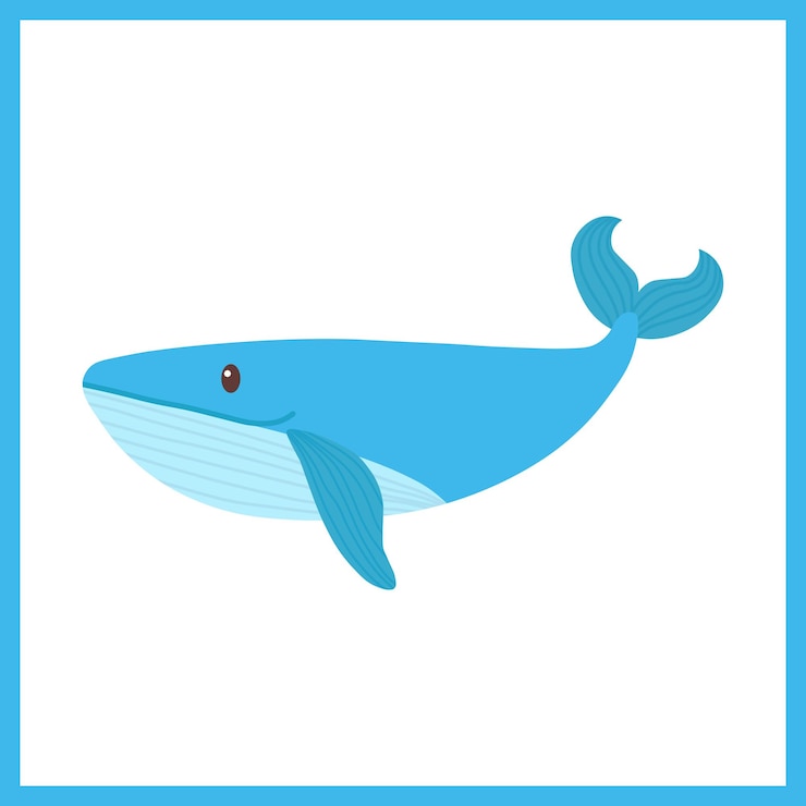 Vector 고래 터