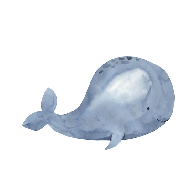 Whale watercolor illustration for kids