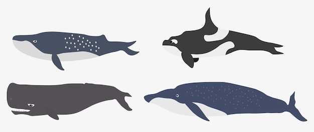 Набор иллюстраций китов