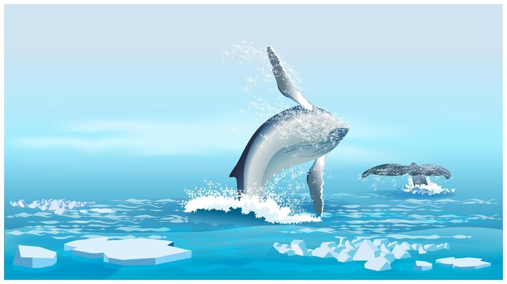 Vector 北洋のクジラ