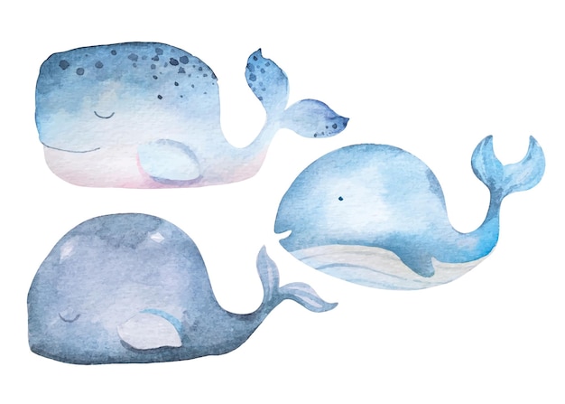 Vector whales painted with watercolorsunderwater animalfish swimmingcute whale cartoon for children