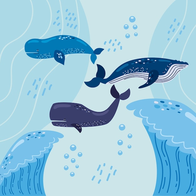 Vector whales and sea waves