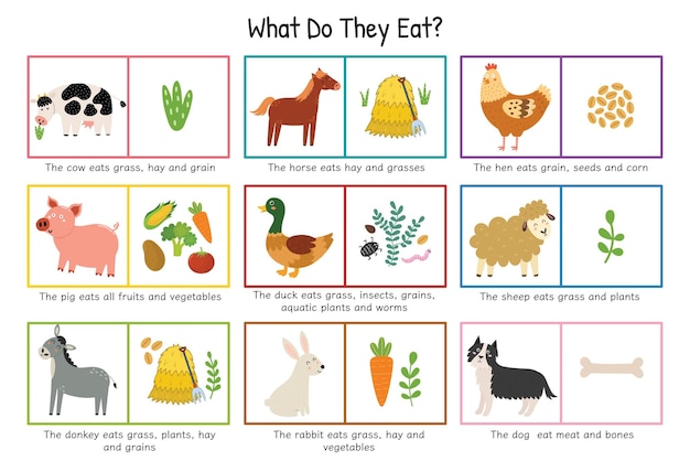 아이들을 위한 교육 포스터는 무엇을 먹습니까 동물과 그들이 먹는 음식 세트