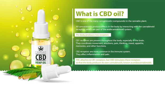 Cos'è l'olio di cbd, usi medici per l'olio di cbd della pianta di cannabis