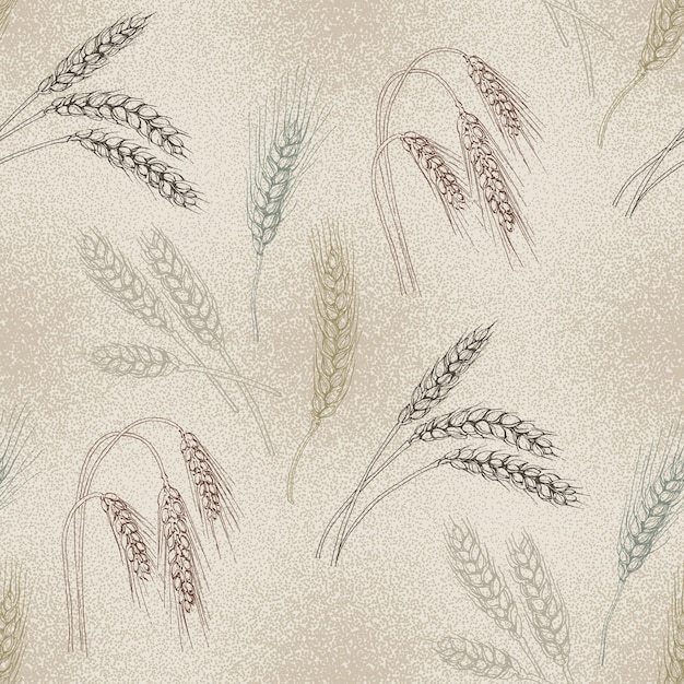 Vector wheat agriculture seamless pattern