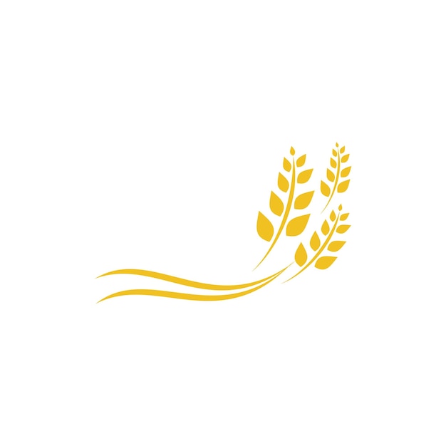 Wheat or barley icon, grain wheat  agriculture logo