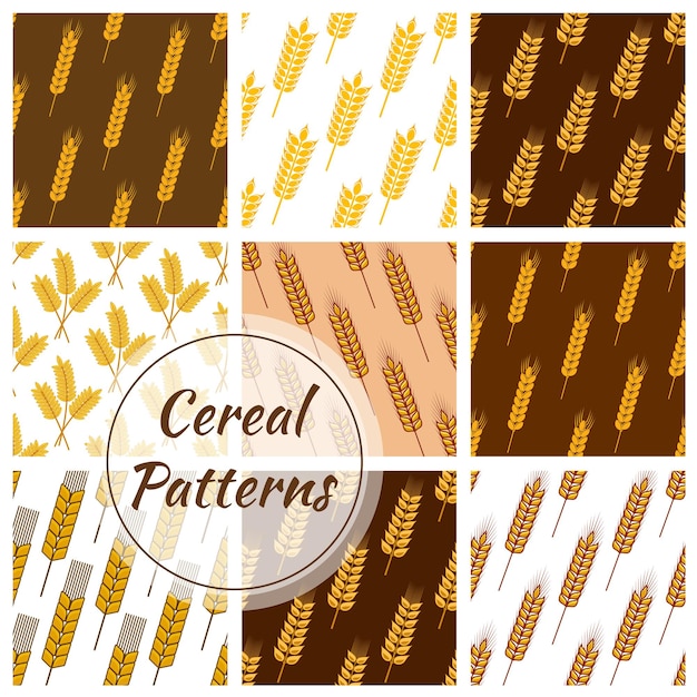 Wheat cereal grain rye ears seamless patterns set