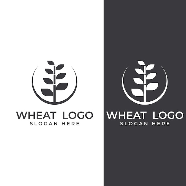 Wheat or cereal logo wheat field and wheat farm logowith easy and simple editing illustrations