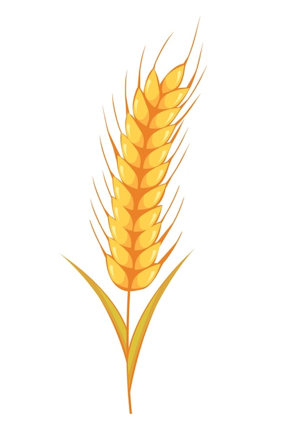 Векторные визуальные графические иконки пшеничных культур идеально подходят для упаковки хлеба, этикеток пива и т. Д.