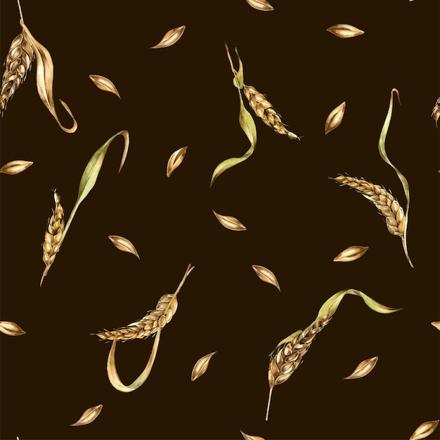 Wheat ear barley watercolor seamless pattern on black background Spikelet of rye malt stalk