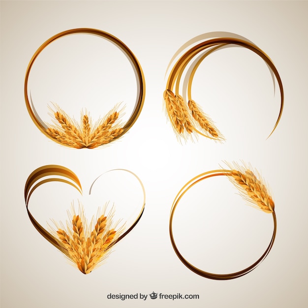 Vector wheat ear frames