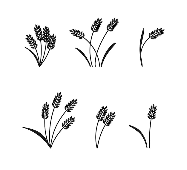 Wheat ears Barley or rice black silhouette beer or bakery logo isolated elements organic farm elements for label and emblem bread packaging decorative objects ripe spikelets vector set
