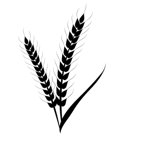 Wheat ears isolated Vector cartoon illustration