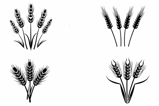 Wheat ears set outline vector illustration on white background