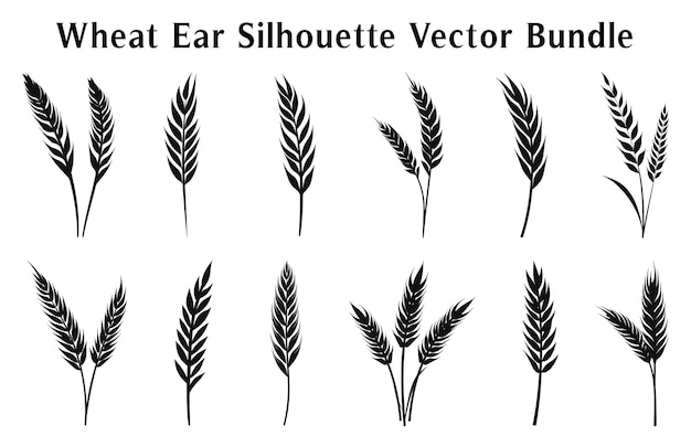 Wheat ears silhouette Vector illustration Wheat grain spikes set