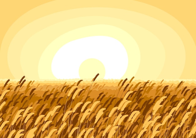 Wheat field scenic tranquil and calm landscape vector illustration, forget about all the problems and relax concept.