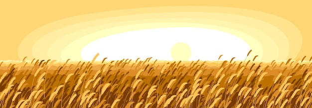 Vector wheat field scenic tranquil and calm landscape vector illustration, forget about all the problems and relax concept.