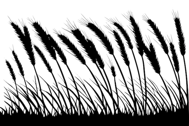 Wheat in the field silhouette vector illustration