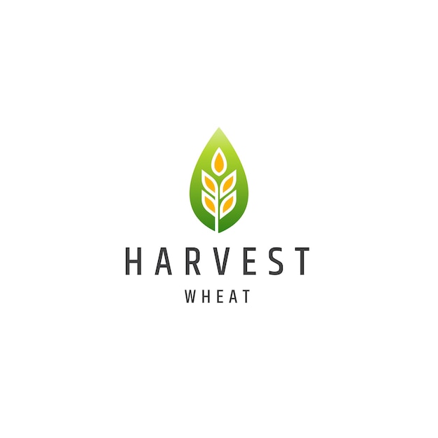 Wheat grain agriculture logo icon design template flat vector