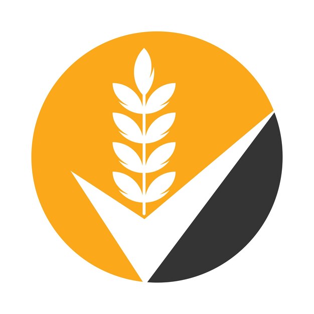 Wheat Grain Check Logo Grain Wheat Logo Concept sign icon symbol Design