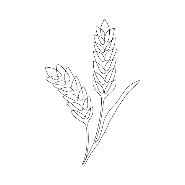 Wheat grain ear nature bread one single continuous art line. Sketch of wheat rice corn oat ear grain