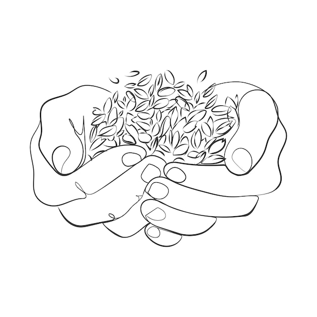 Wheat grains in human palms line art drawing,vector illustration.Farmer hands with grains