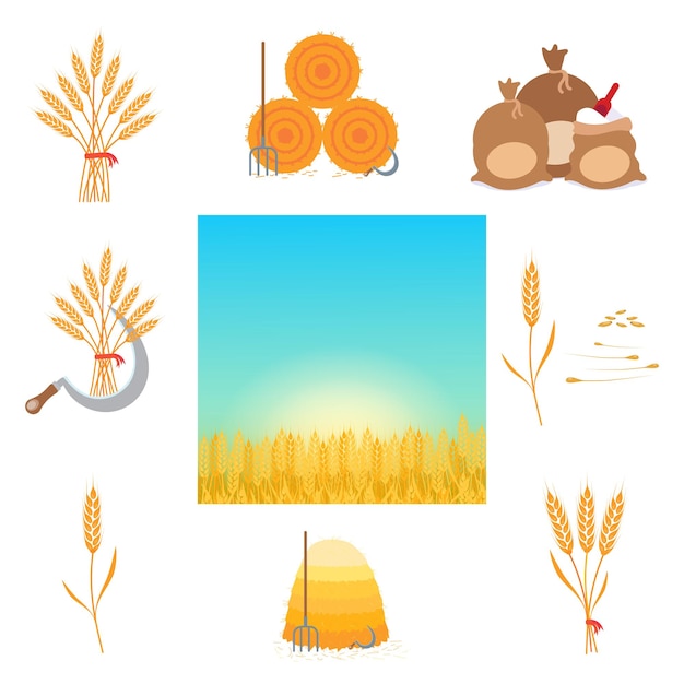 Set di illustrazioni vettoriali per la raccolta del grano in stile piatto