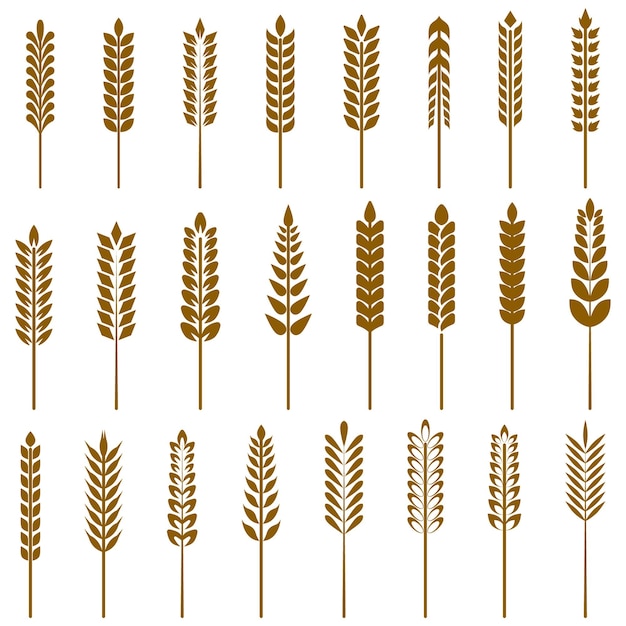 Wheat icon set. Vector illustration