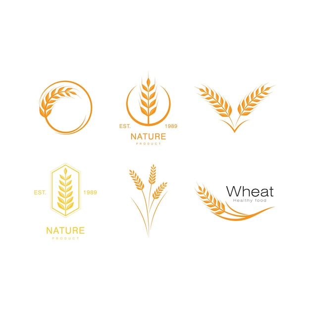 Vector wheat illustration design