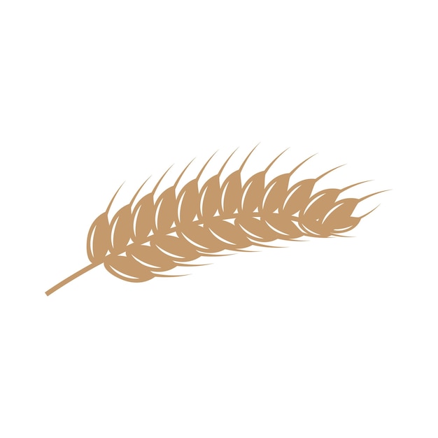 Wheat Logo Grain Design Simple Illustration Template