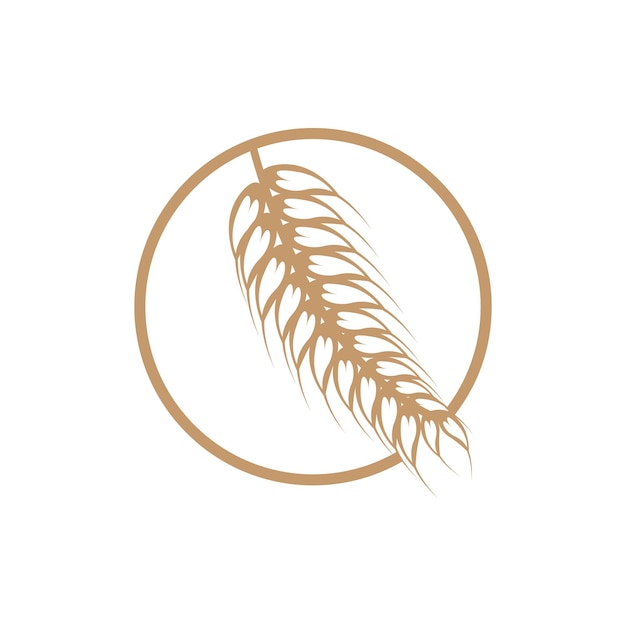 Modello semplice di illustrazione del disegno del grano con logo di grano