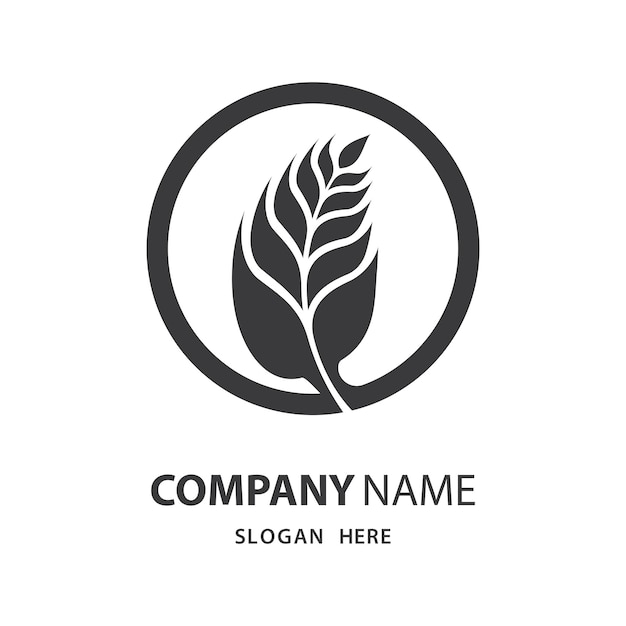 Vector wheat logo images