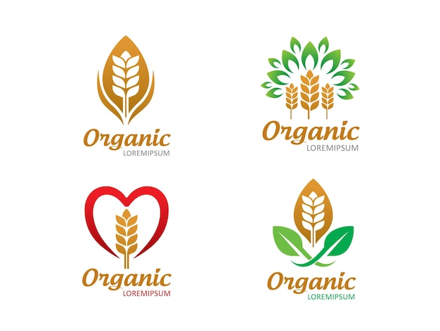 Wheat logo symbol or icon template